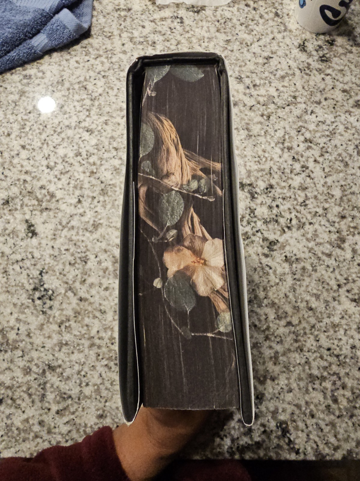 Shield of Sparrows Deluxe Edition Sprayed Edges Devney Perry 1st Edition
