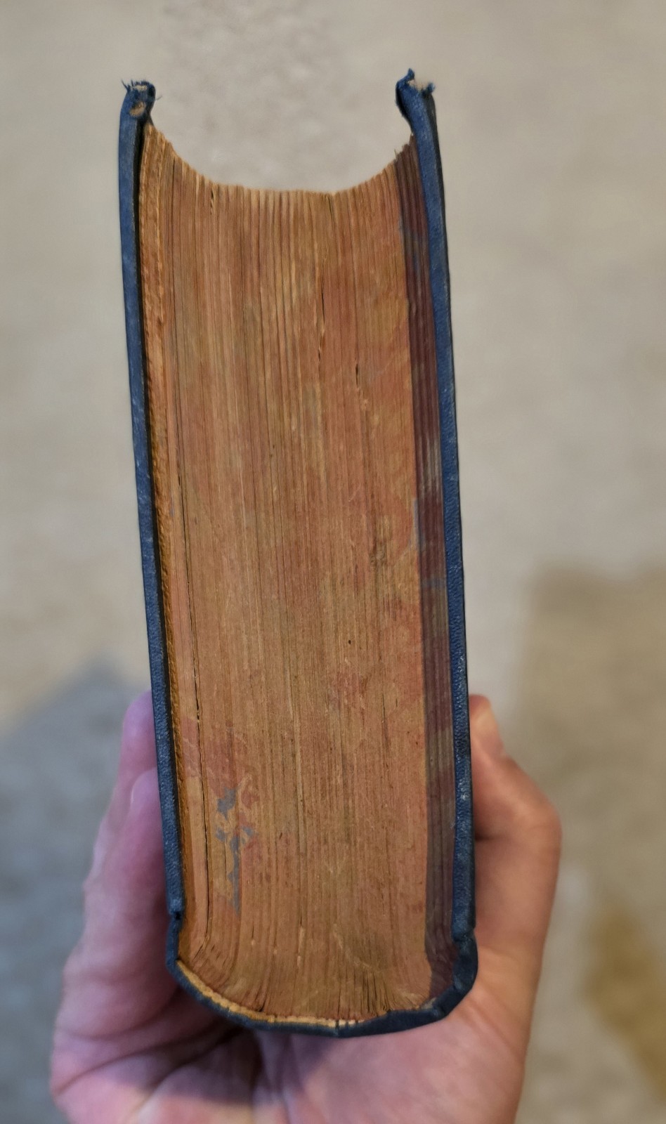 Success: Or The Triumphs and Achievements of Self-Made Men. Chamberlain, 1891