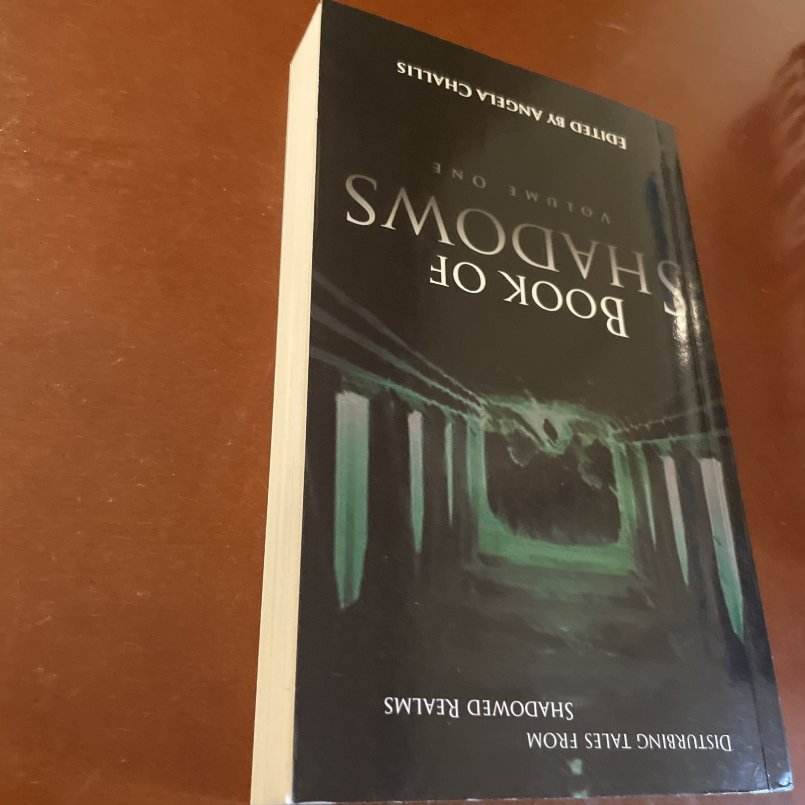 Book Of Shadows Volume 1 by Brimstone Press 1st Edition Small Press Run Rare