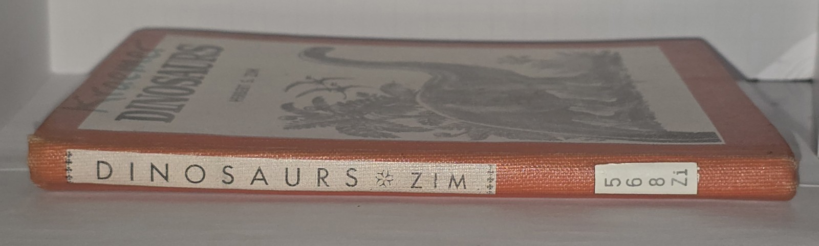 DINOSAURS True First Edition 1954 by Herbert S Zim Hardcover RARE School Library