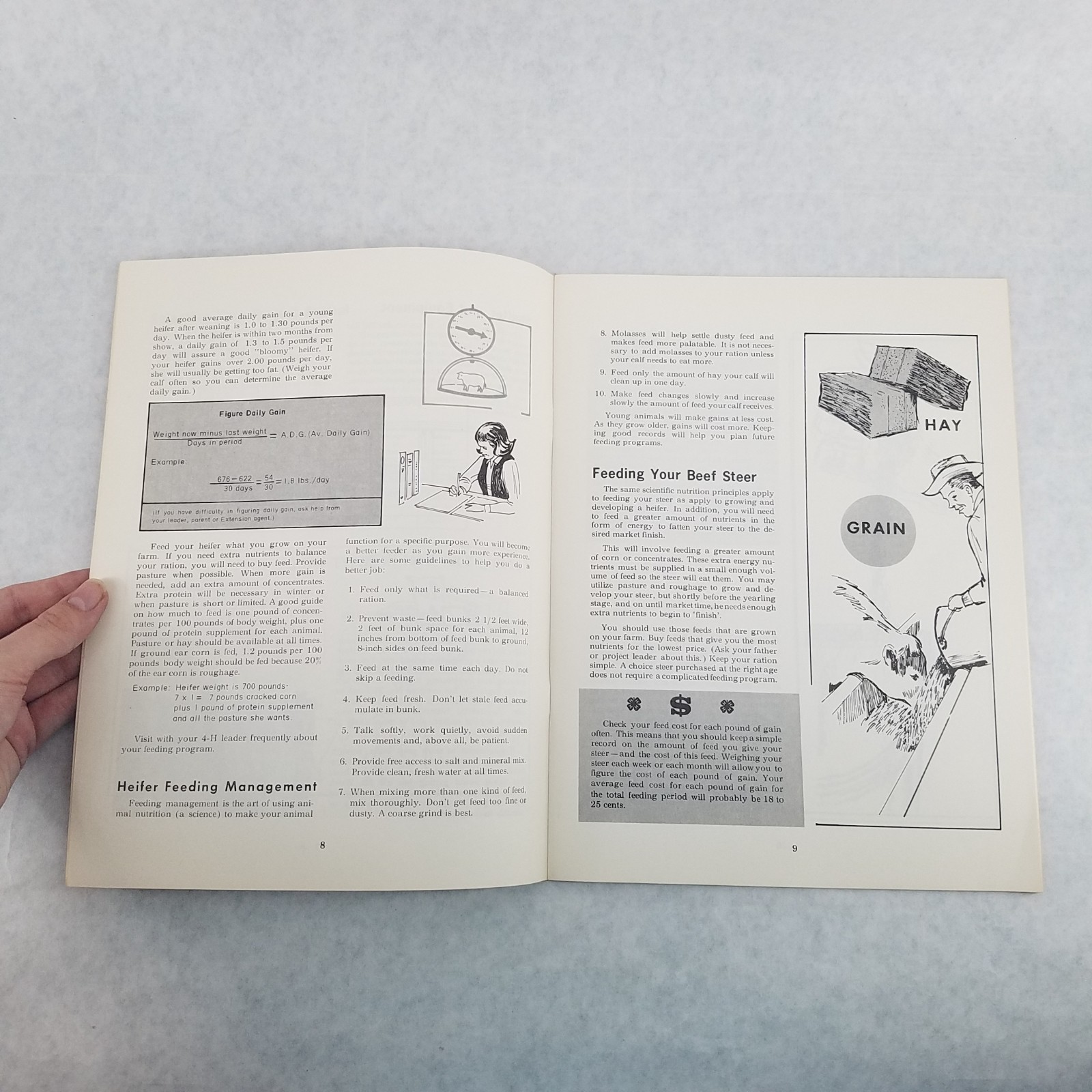 Beef Cattle Handbook UT Agricultural Extension Service 4H Booklet #568 – 1986