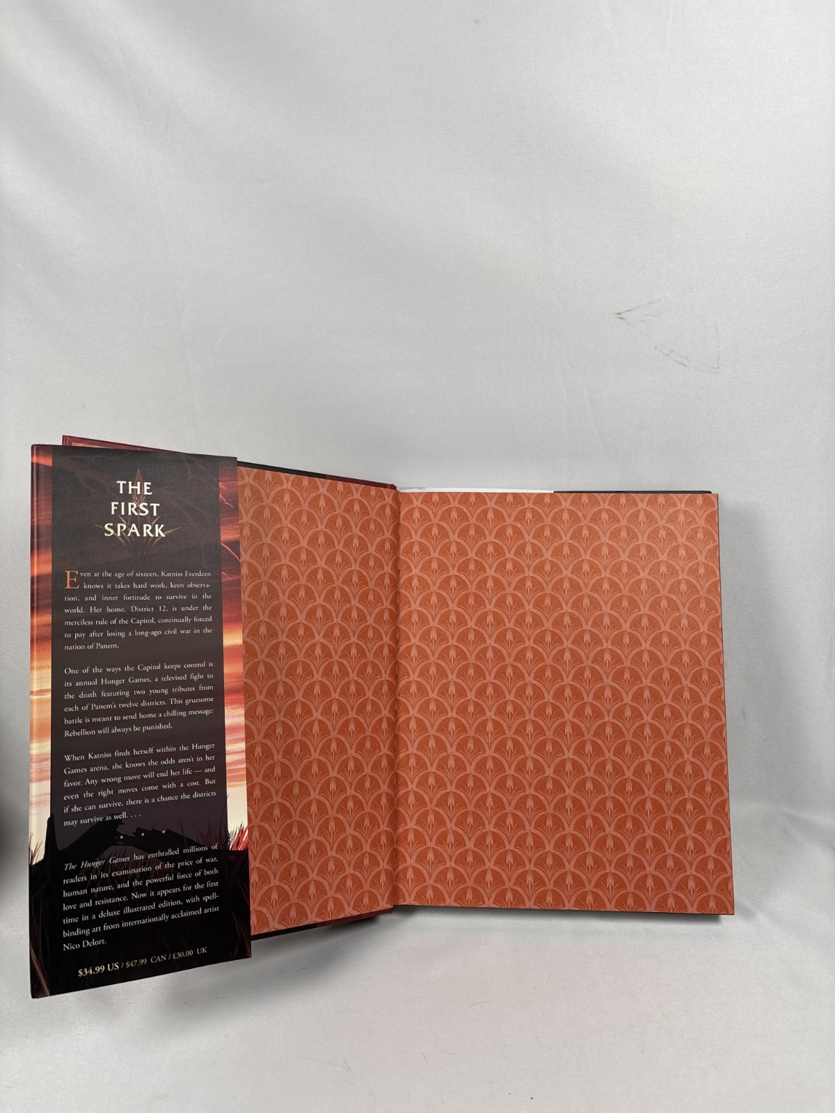 Hardcover The Hunger Games: Illustrated Edition By Suzanne Collins & Nico Delort