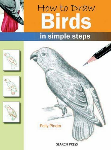How to Draw Birds in Simple Steps By Polly Pinder