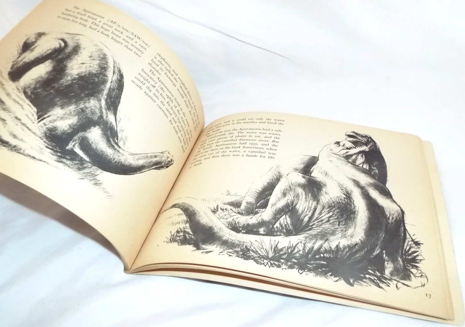 Digging for Dinosaurs by W.E. Swinton 1st Printing September 1969