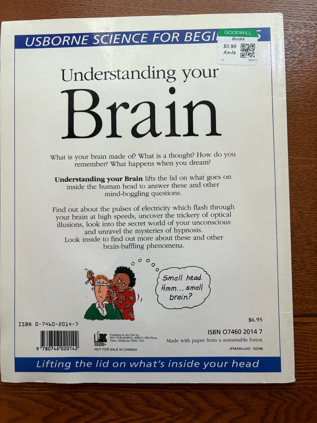 Understanding Your Brain: Science for Beginners Series (Usborne)