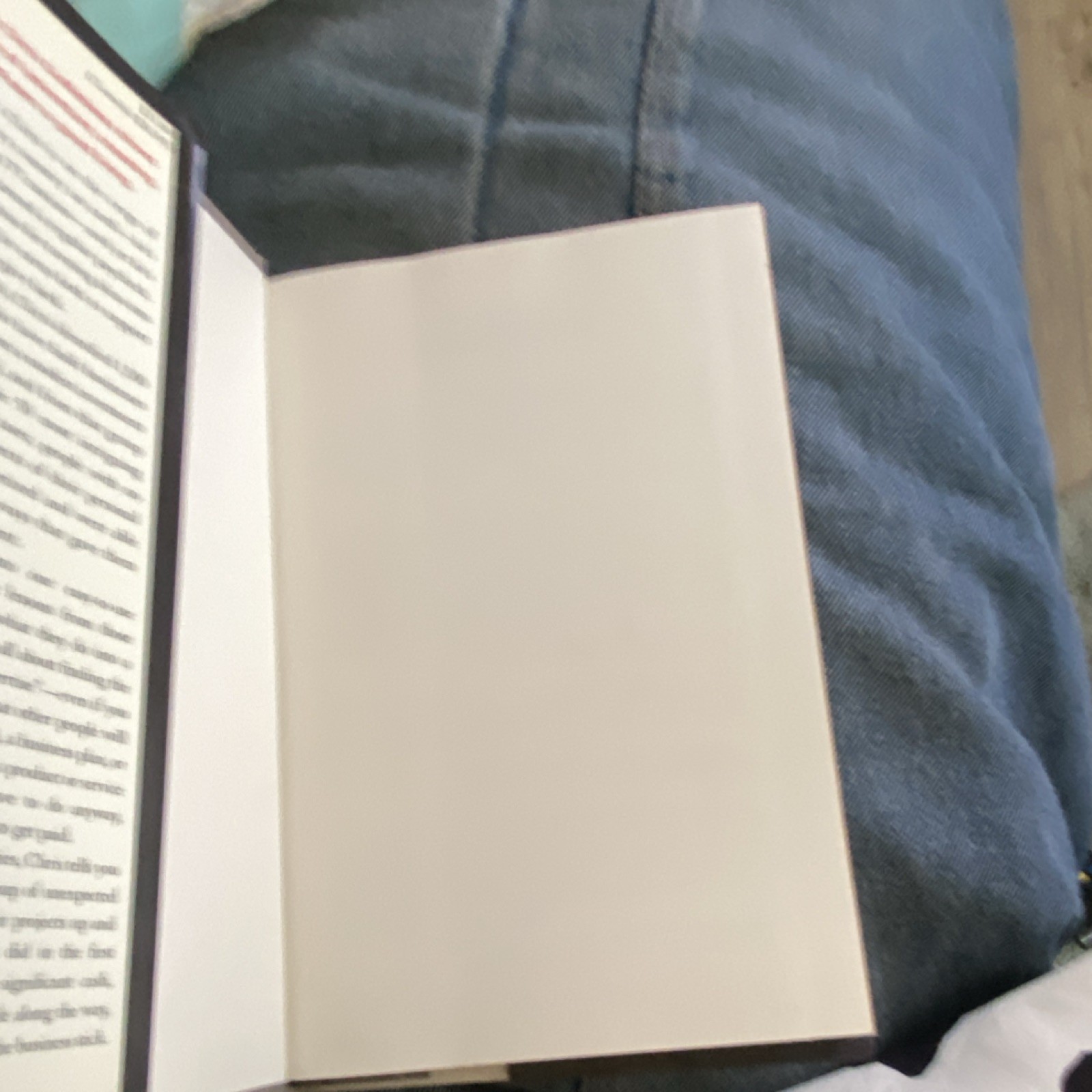 The $100 Startup by Chris Guillebeau Hardcover w/ Dust Jacket, Business Book