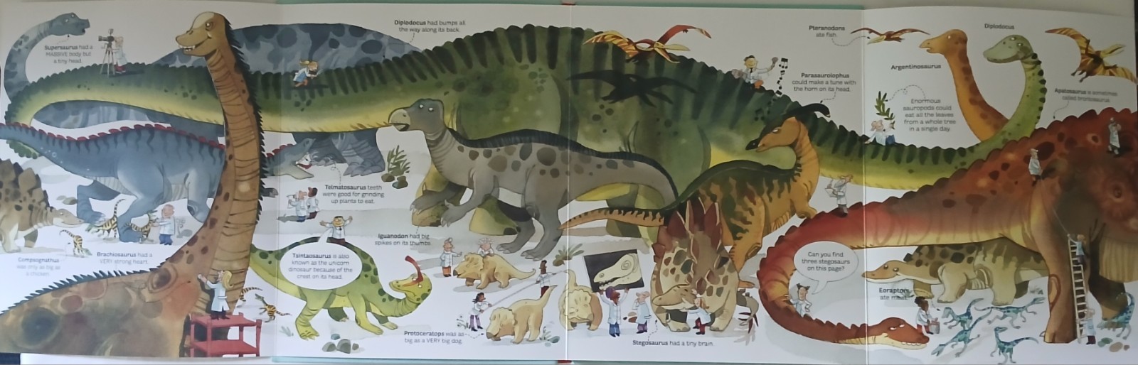 Usborne Big Book Of Dinosaurs & Bugs STEM Learning Fold-Out Pages Home School