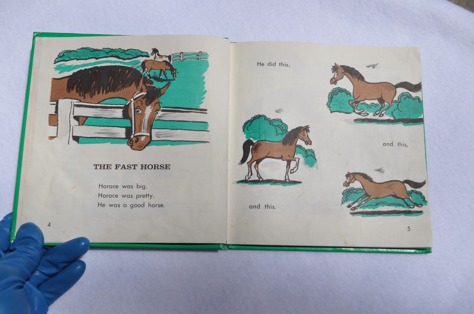 Horse Books For Kids: Horace, The Horse; Thunderhoof +vinyl record; Baby Horses