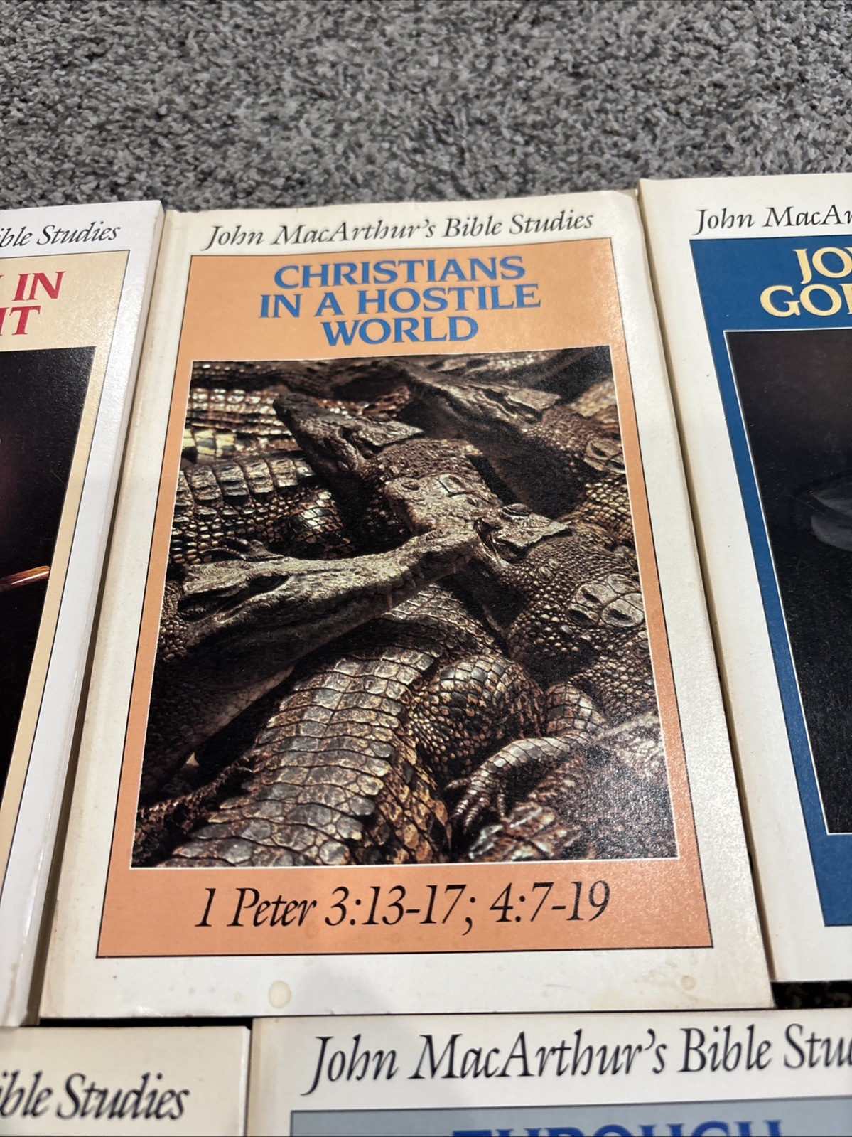 Dr John MacArthur Bible Studies Book Series Set