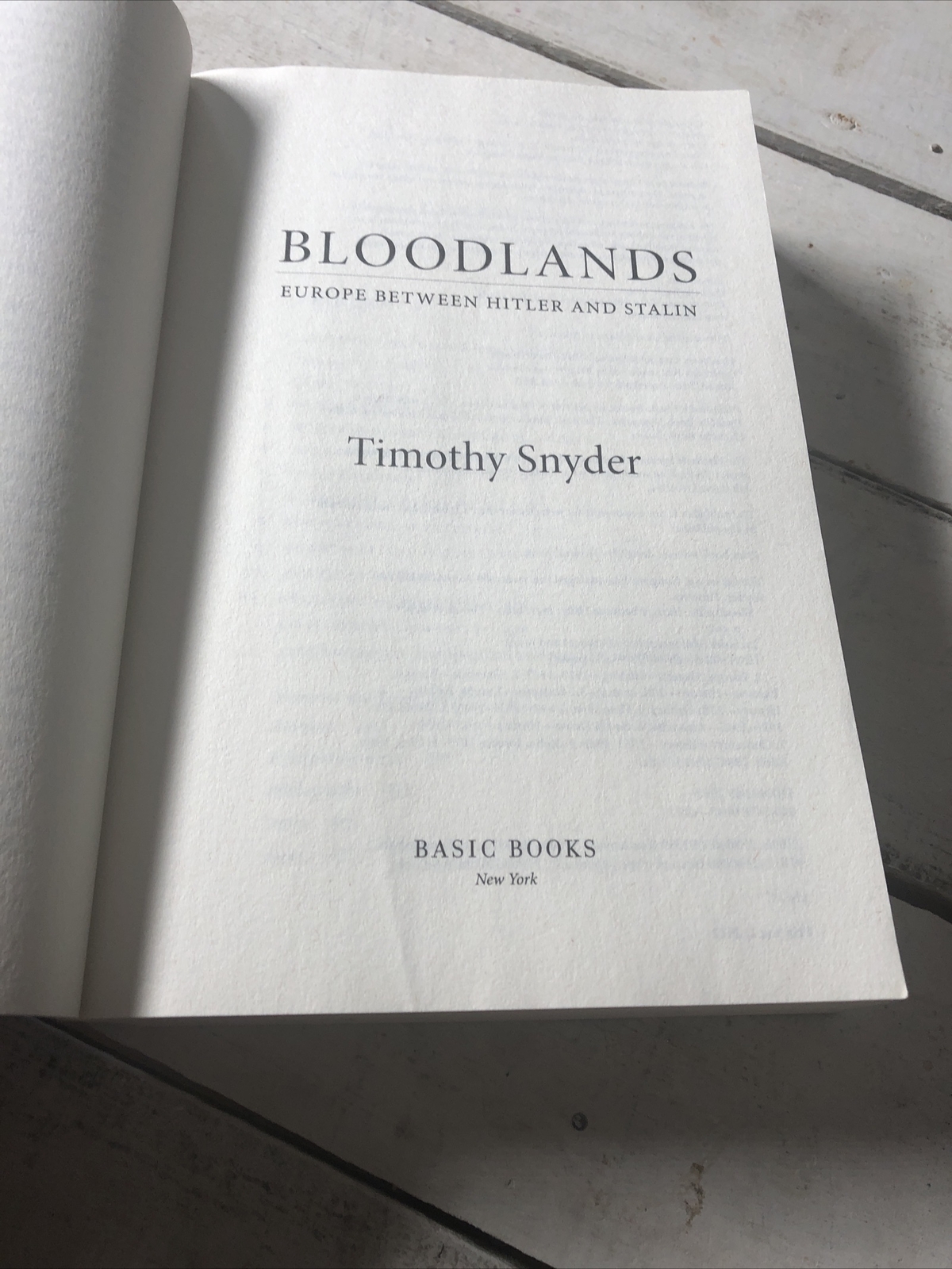 Bloodlands Europe Between Hitler and Stalin Timothy Snyder Paperback 2022