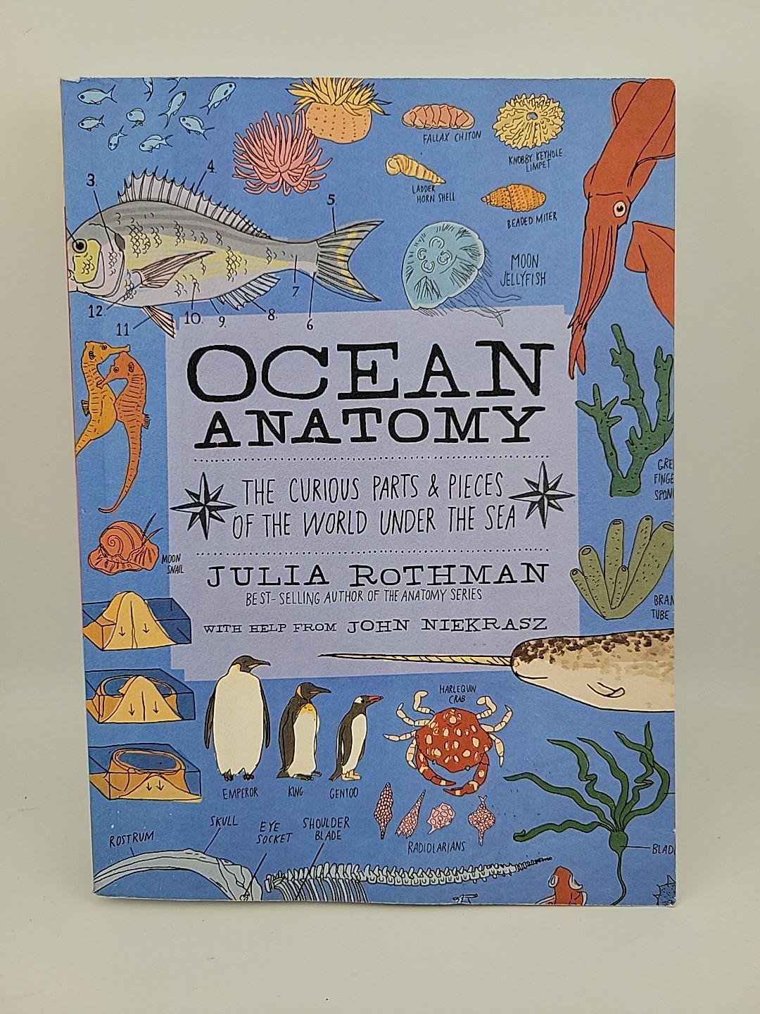 Ocean Anatomy: The Curious Parts & Pieces of the World Under the Sea (Paperback)