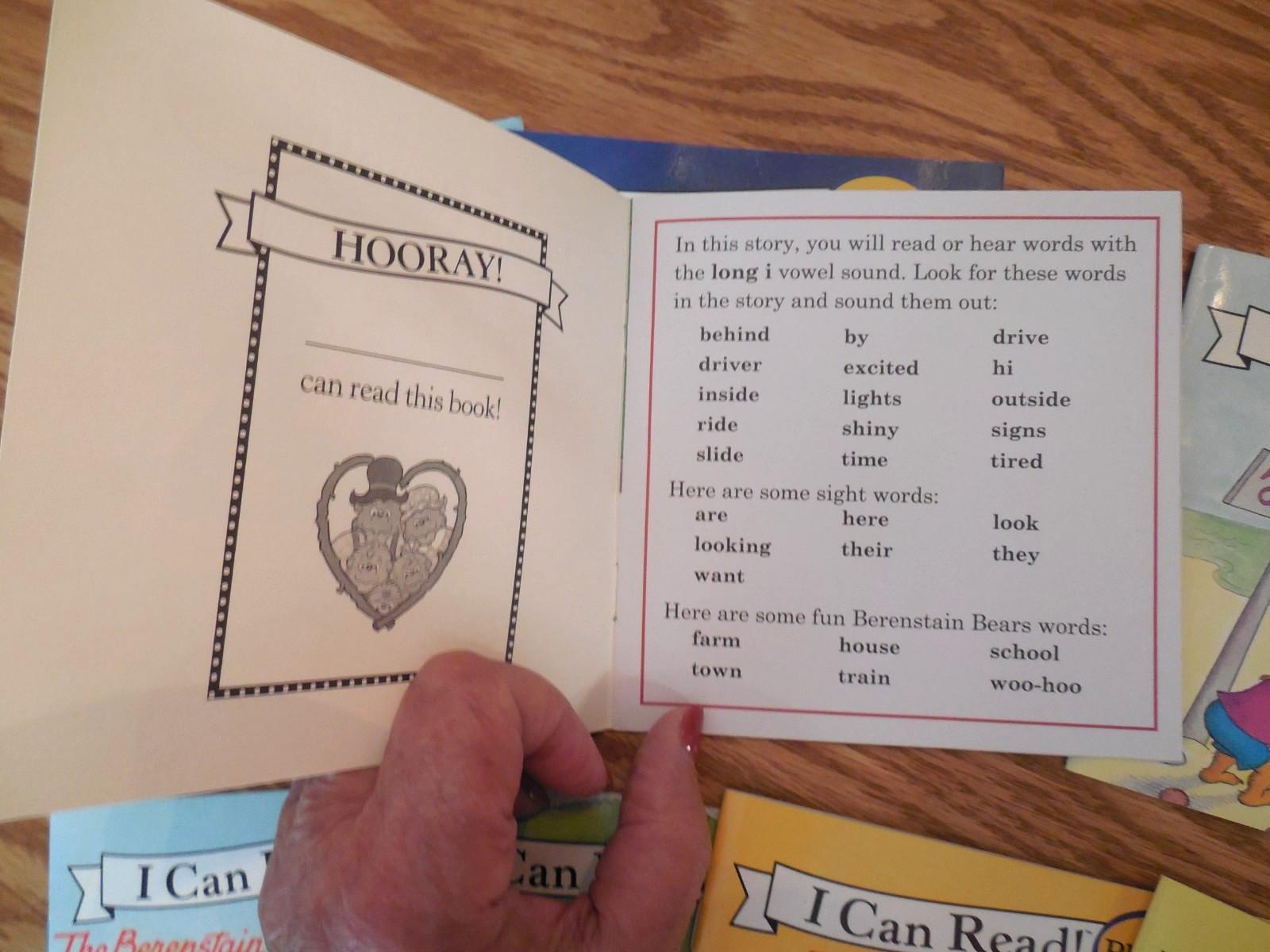 NEW I Can Read Phonics “The Berenstain Bears” 11 Books: #1-4 & #6-12 (Vowels)