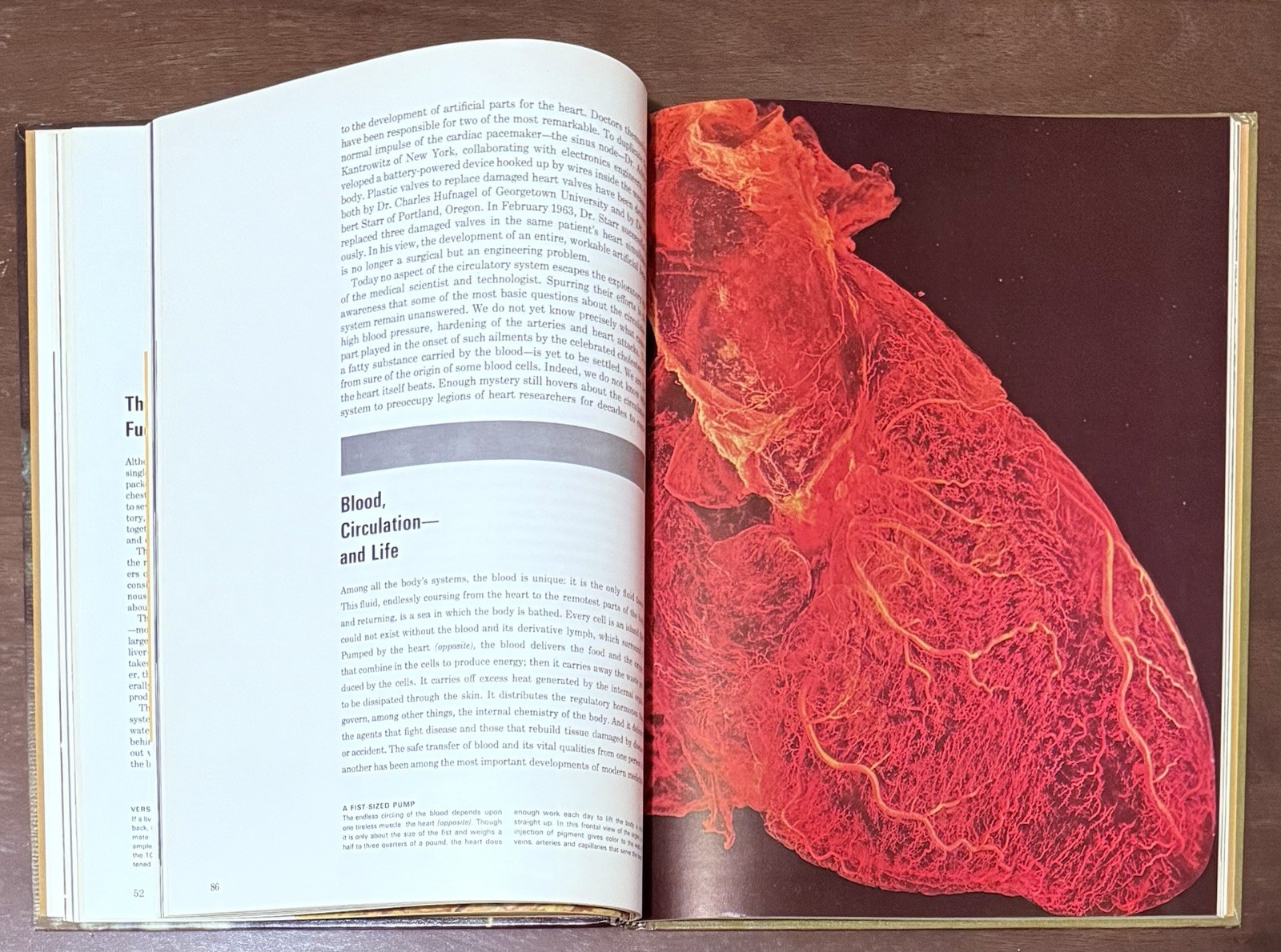 The Body by Alan E. Nourse, Time Life Science Library. Entertaining To Read Look