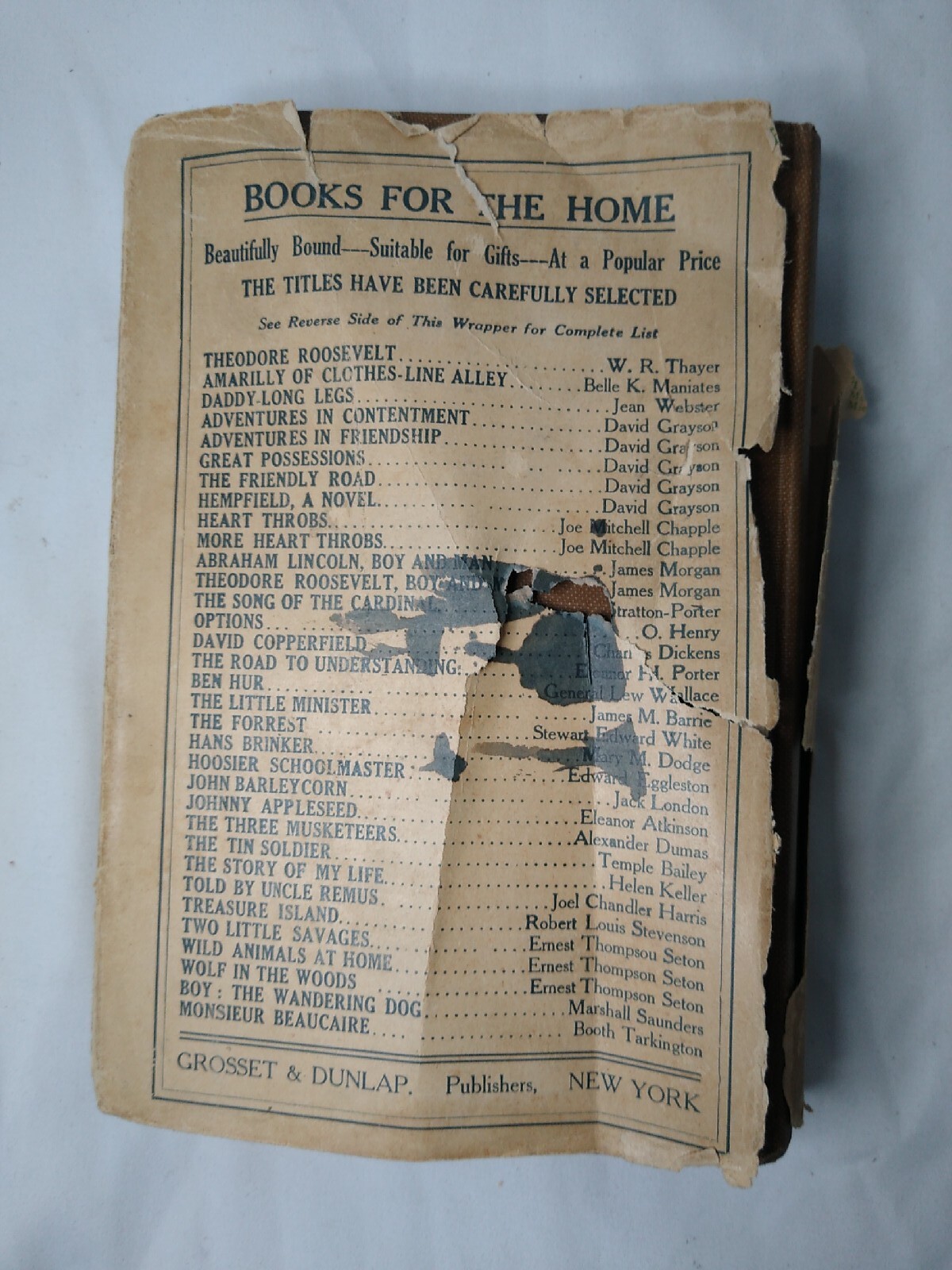 Much Ado About Peter by Jean Webster 1909 Antique Hardcover Torn Dust Jacket