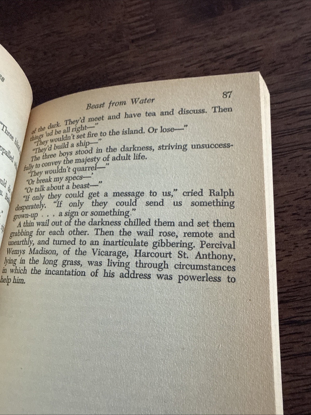 Lord of the Flies William Golding Paperback Vintage Book