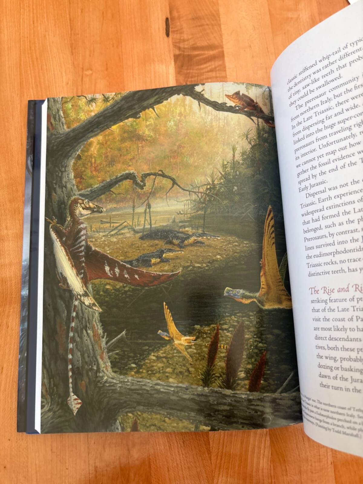 The Pterosaurs: From Deep Time, David M Unwin, Brand New, Hardcover, Brand New