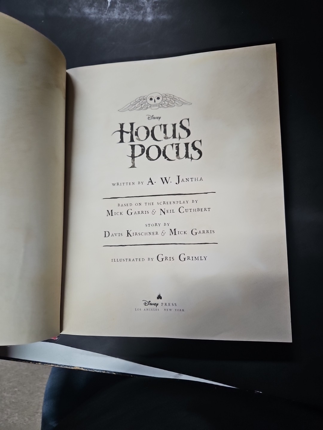 Disney Hocus Pocus Illustrated Novelization Hardcover by A.W. Jantha 2022