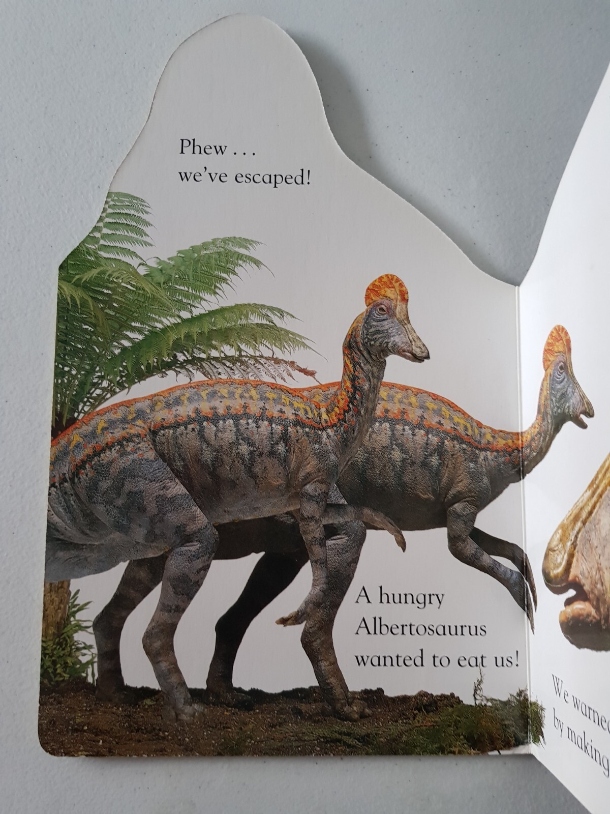 DK Board Book – Corythosaurus 2000 Nicola Deschamps Dinosaur