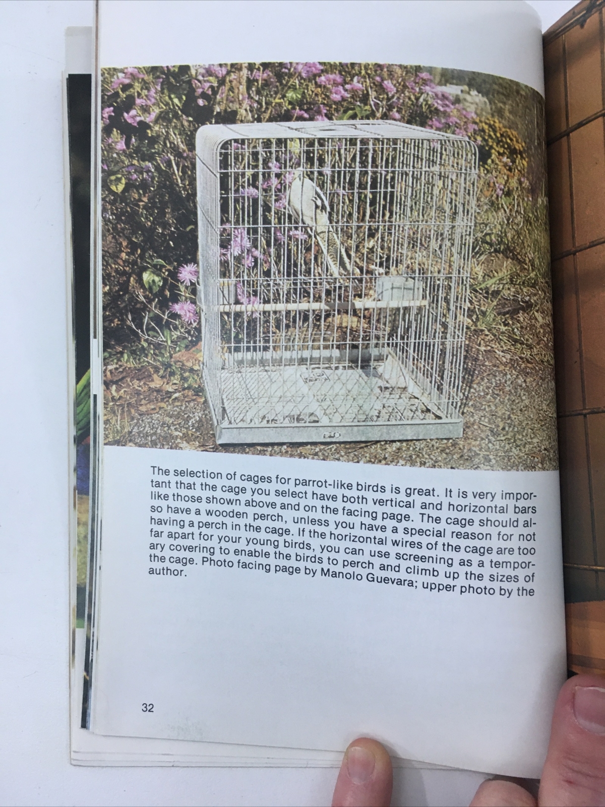 All About Cockatiels- Dr. Gerald R. Allen (Paperback, 1977)