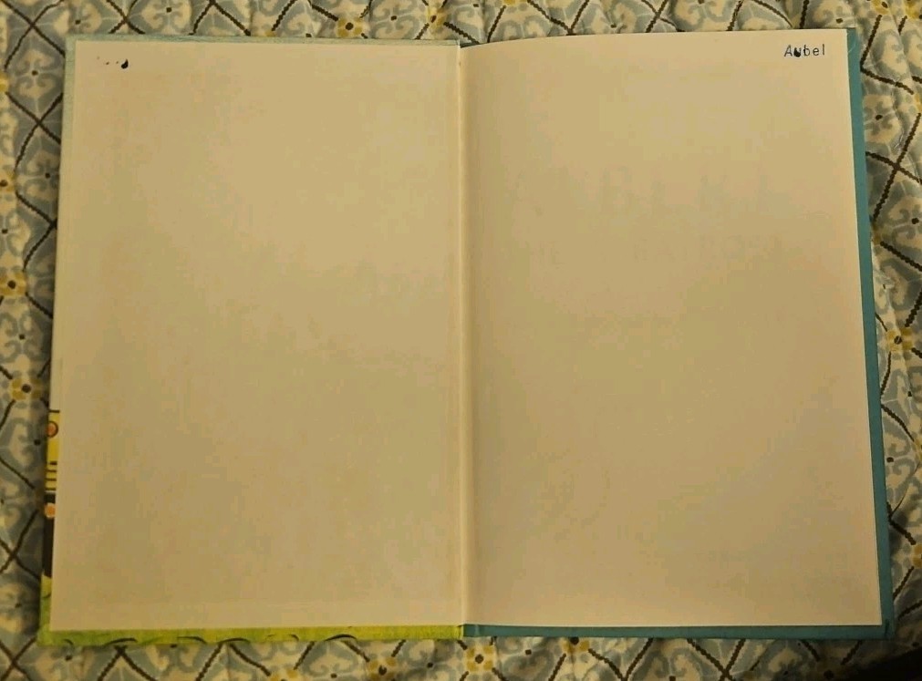 Albert the Albatross Hardcover Book 1961 Children Early I Can Read Syd Hoff