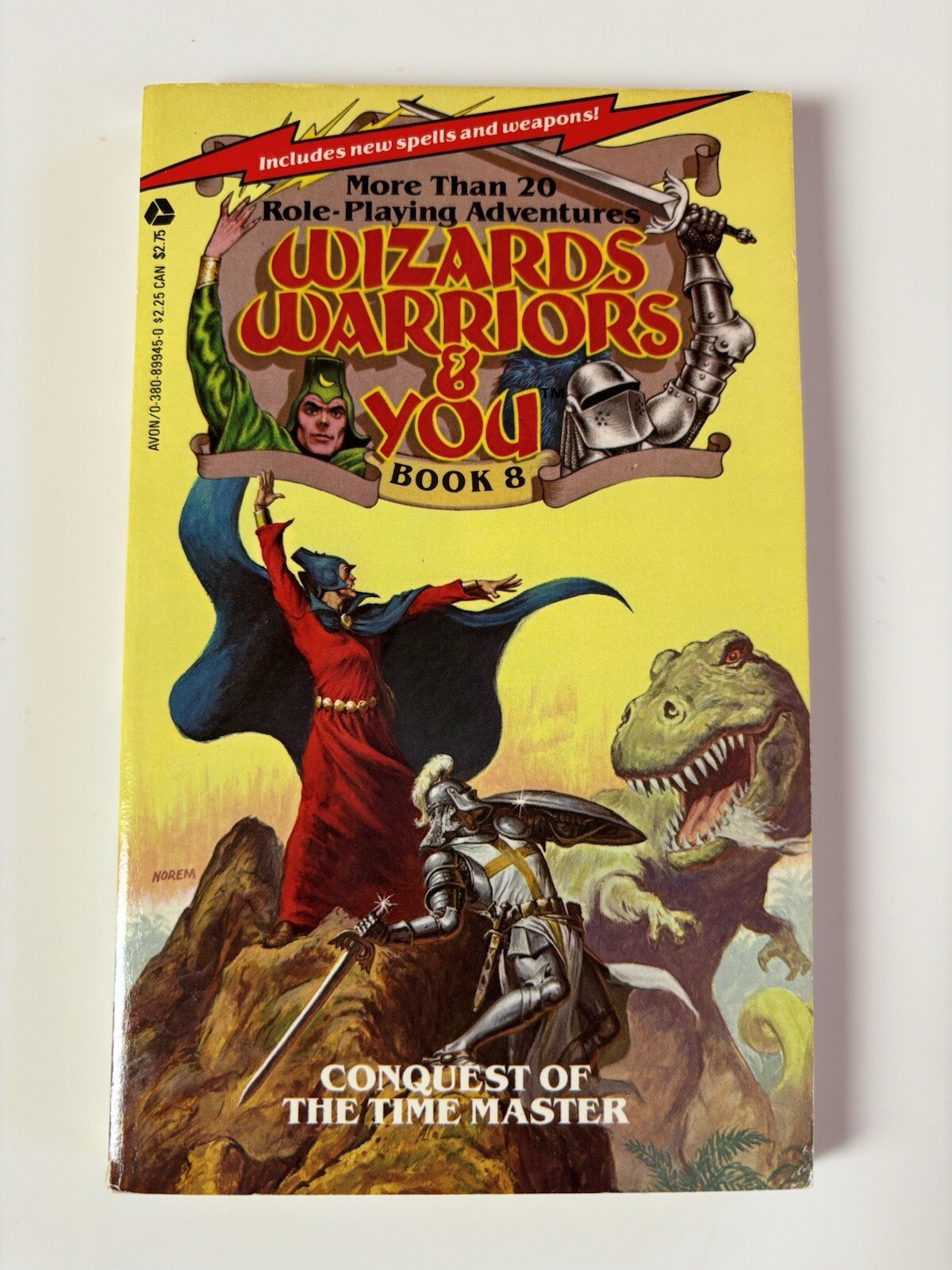 Wizards, Warriors & You #8 Conquest Of The Time Master CYOA Gamebook 1985