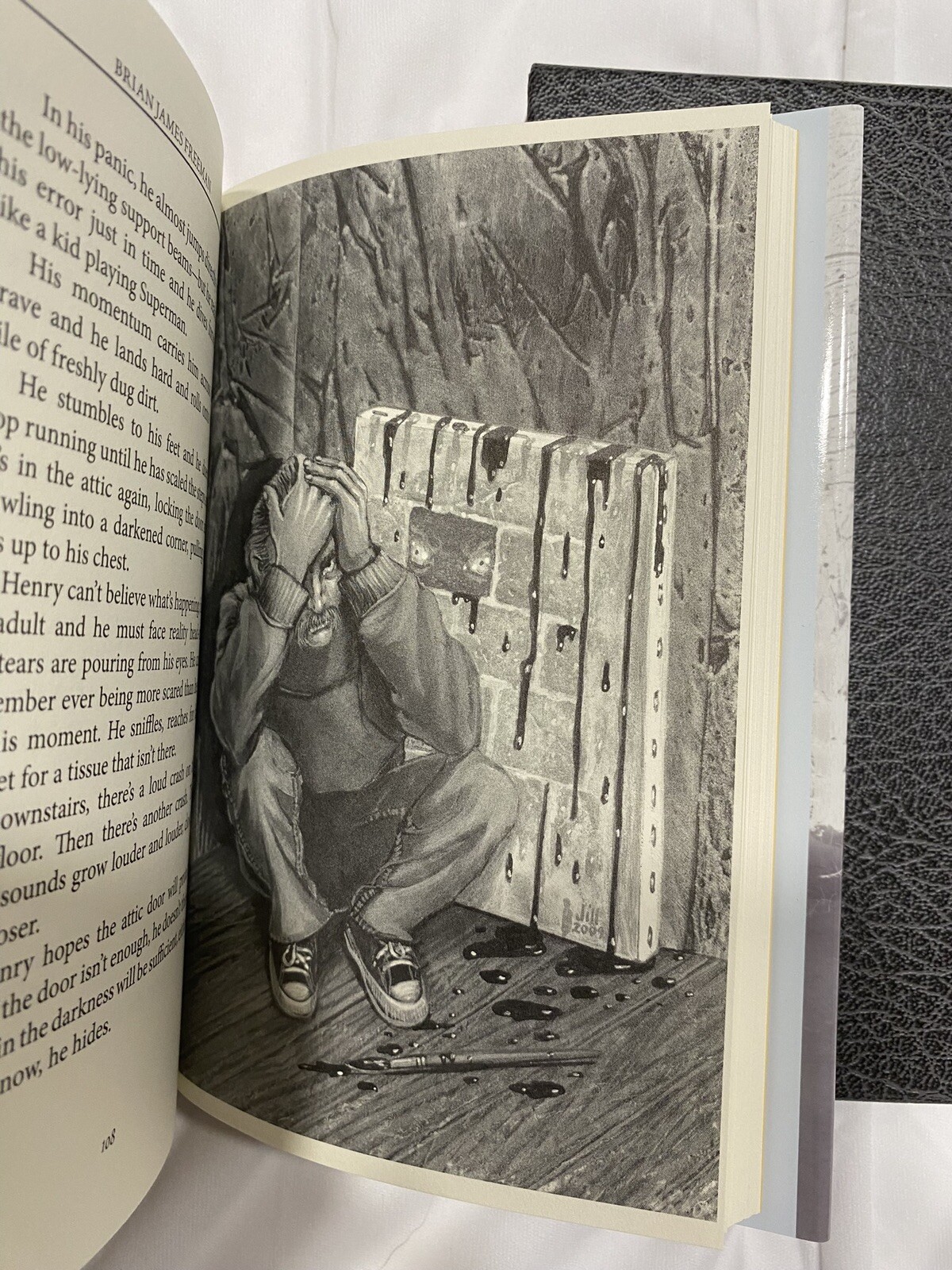 The Painted Darkness by Brian Freeman, SIGNED Limited Edition, HCDJ in Slipcase