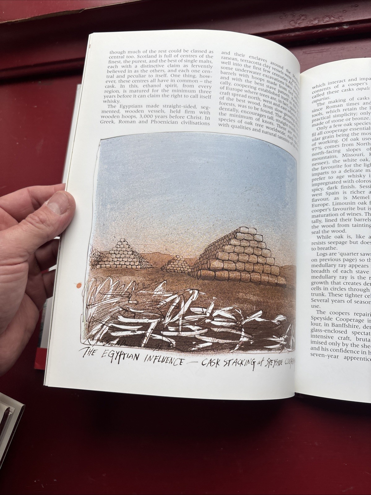 Still Life with Bottle : Whisky According to Ralph Steadman by Ralph Steadman…