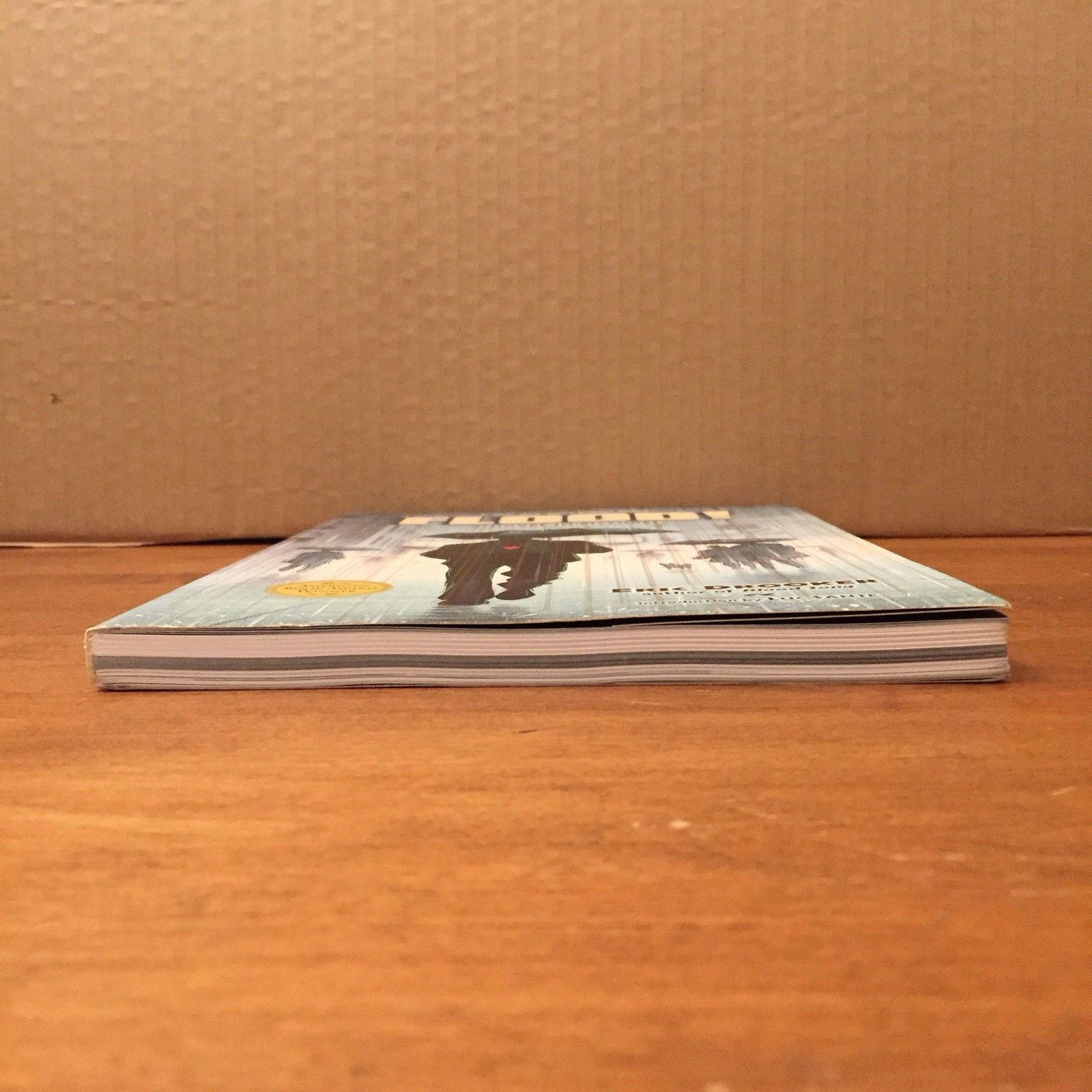 Flood!: A Novel in Pictures by Eric Drooker 2002 Dark Horse Books TPB Good+/VG
