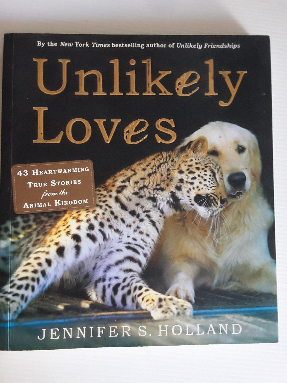 Unlikely Loves By Jennifer S. Holland 43 Heartwarming True Stories Animals Pets