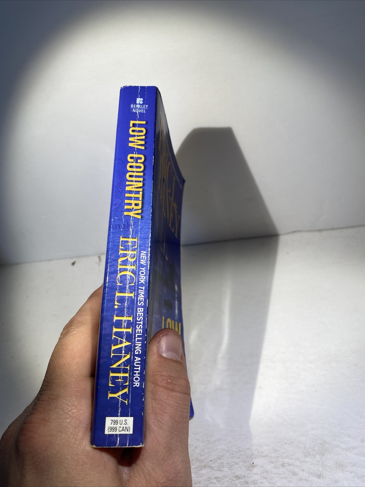 Low Country – Eric L. Haney (2010, Paperback)