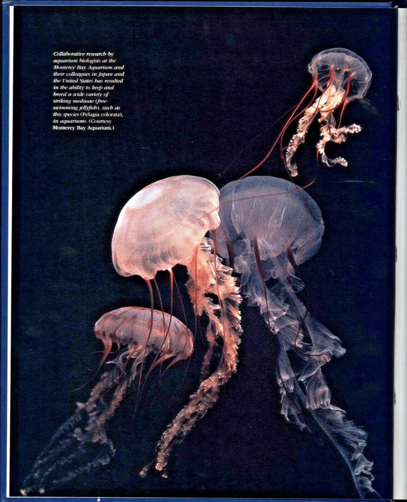 AQUARIUMS: Windows to Nature. Brand new.