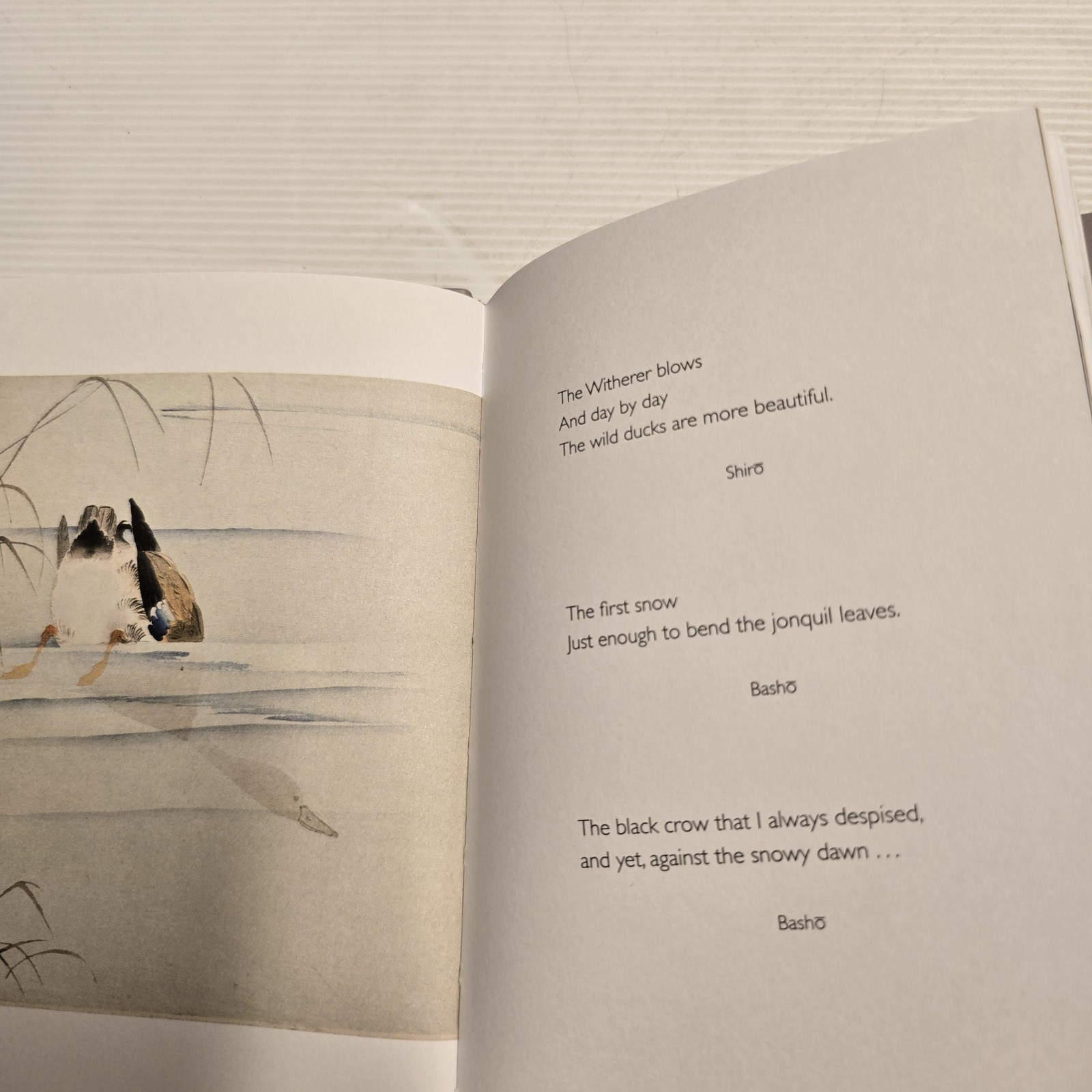 Zen Haiku Illustrated Edition Traditional Wisdom Jonathan Clements Book Poetry