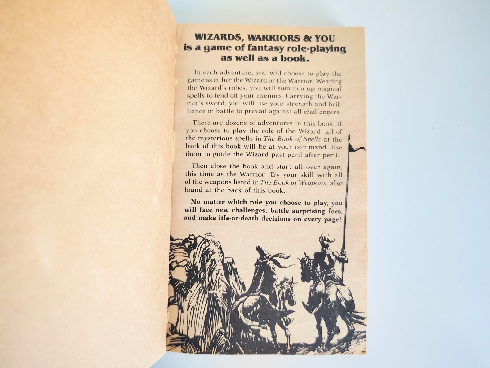 Wizards, Warriors & You #5 The Haunted Castle of Ravencurse Avon 1985 Adventure