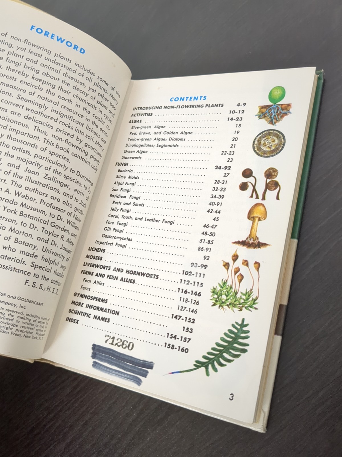 Non-Flowering Plants Golden Nature Guide Hardcover Book Mushrooms 1967