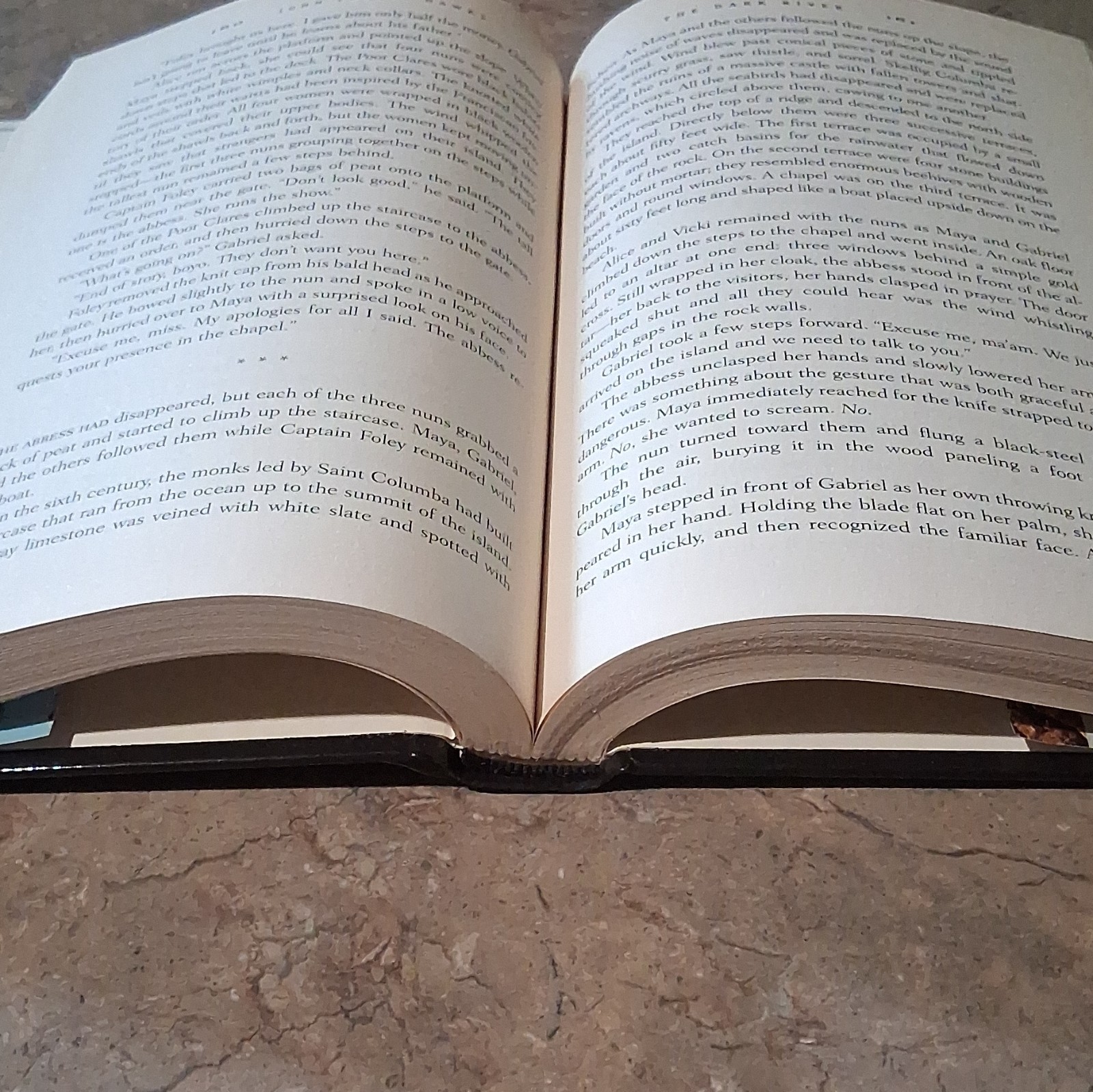 1st Edition Hardcover John Twelve Hawks The Dark River 2007 Doubleday w/DJ