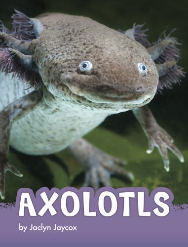 Axolotls by Jaclyn Jaycox NEW!