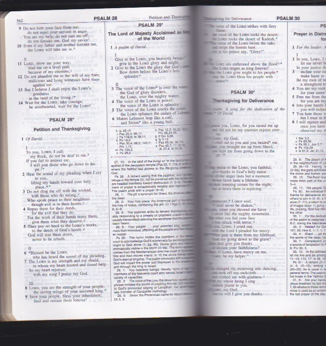New American Bible – Catholic World Press 2402 Red Letter – Leather Bound LN