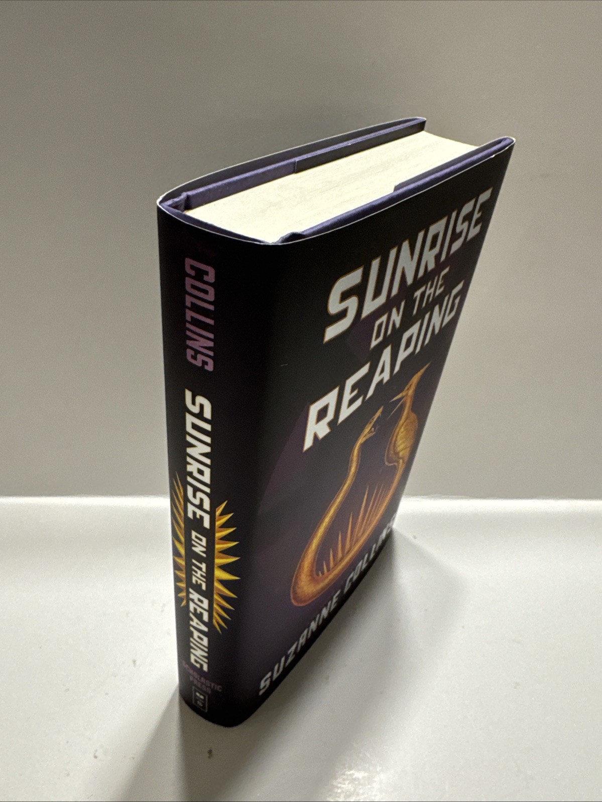 BRAND NEW Sunrise on the Reaping Hunger Games 2025