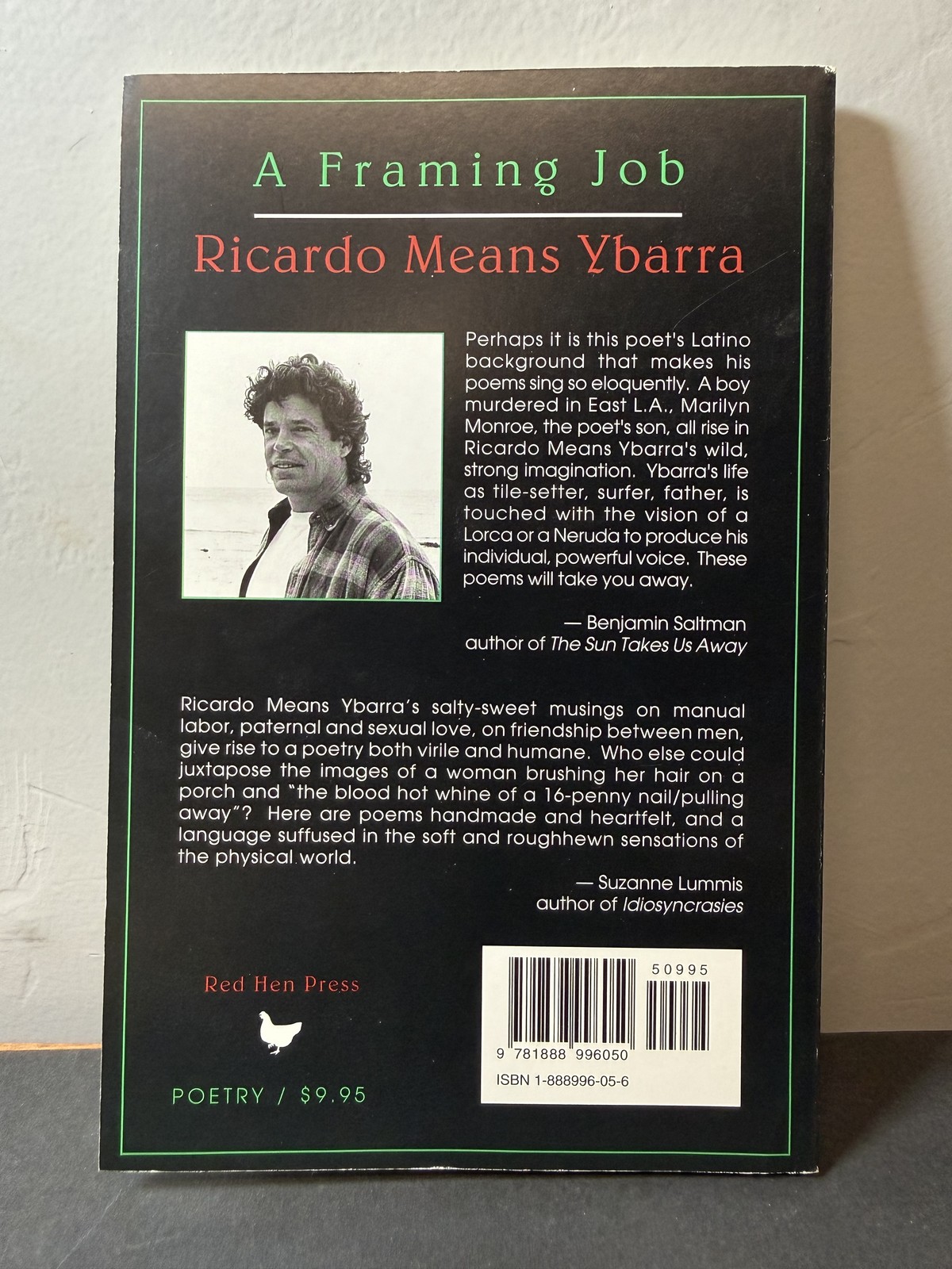 A Framing Job Poems by Ricardo Means Ybarra Red Hen Press 1997 First Edition