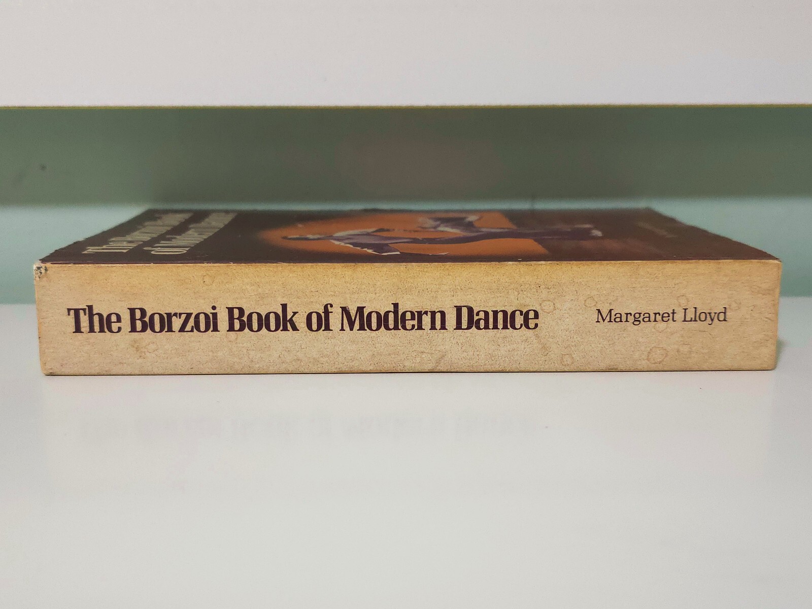 The Borzoi Book of Modern Dance! 1974 Book by Margaret Lloyd