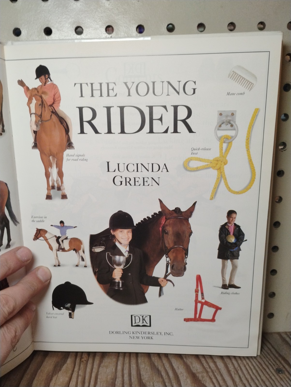 LUCINDA GREEN THE YOUNG RIDER First American Edition 1994