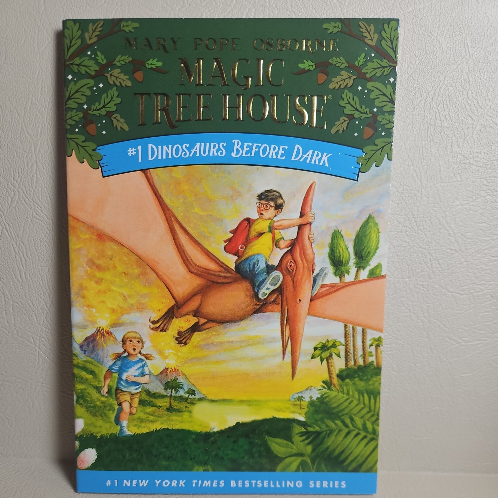 Magic Tree House Books 1-4 Box Gift Set Mary Pope Osborne Brand New – Mint