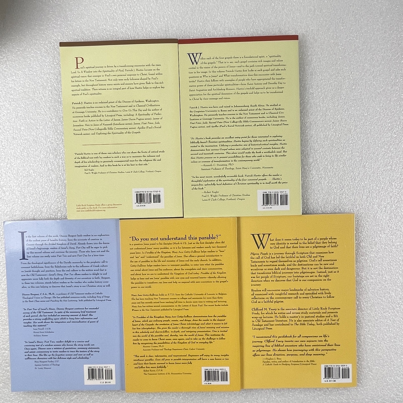 Biblical Studies Lot 5 Books Liturgical Press Spirituality Paul Gospels Parables