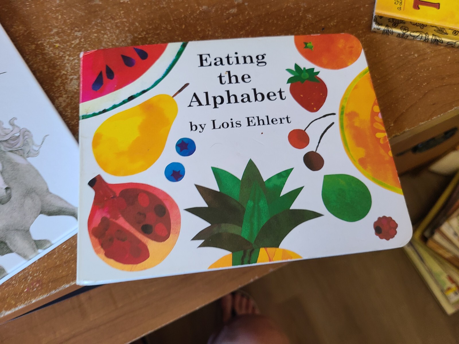 Lois Ehlert Book Lot – 7 Books