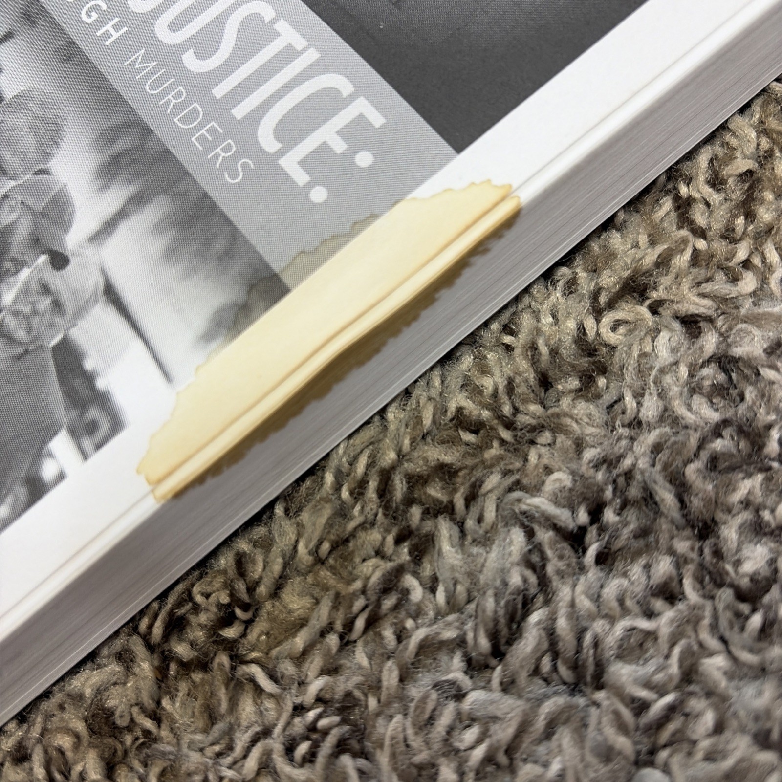 Behind the Doors of Justice: The Murdaugh Murders book by Rebecca Becky Hill