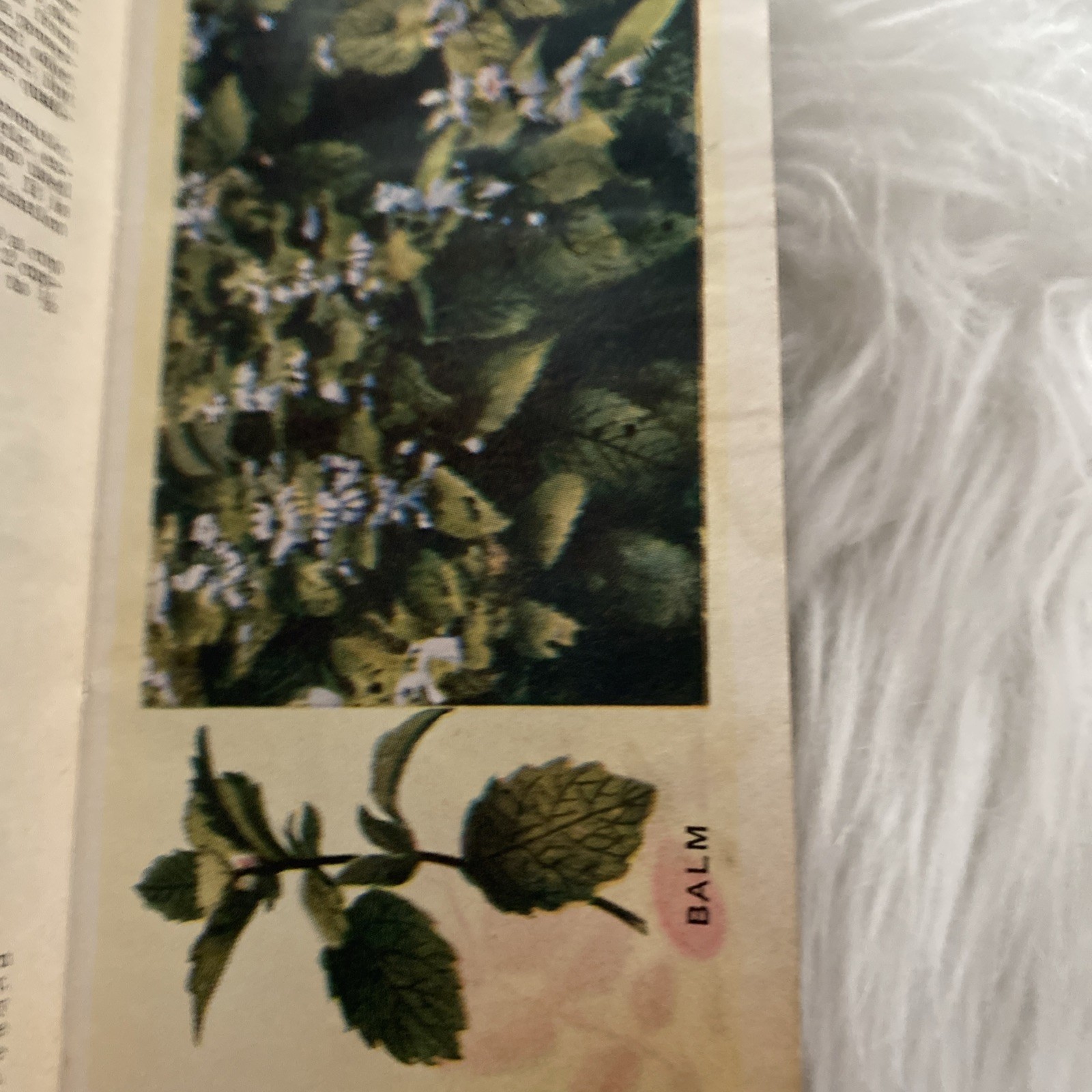 The Herbalist 1934 Joseph E. Meyer Green Hardcover Color Plates Illustrated