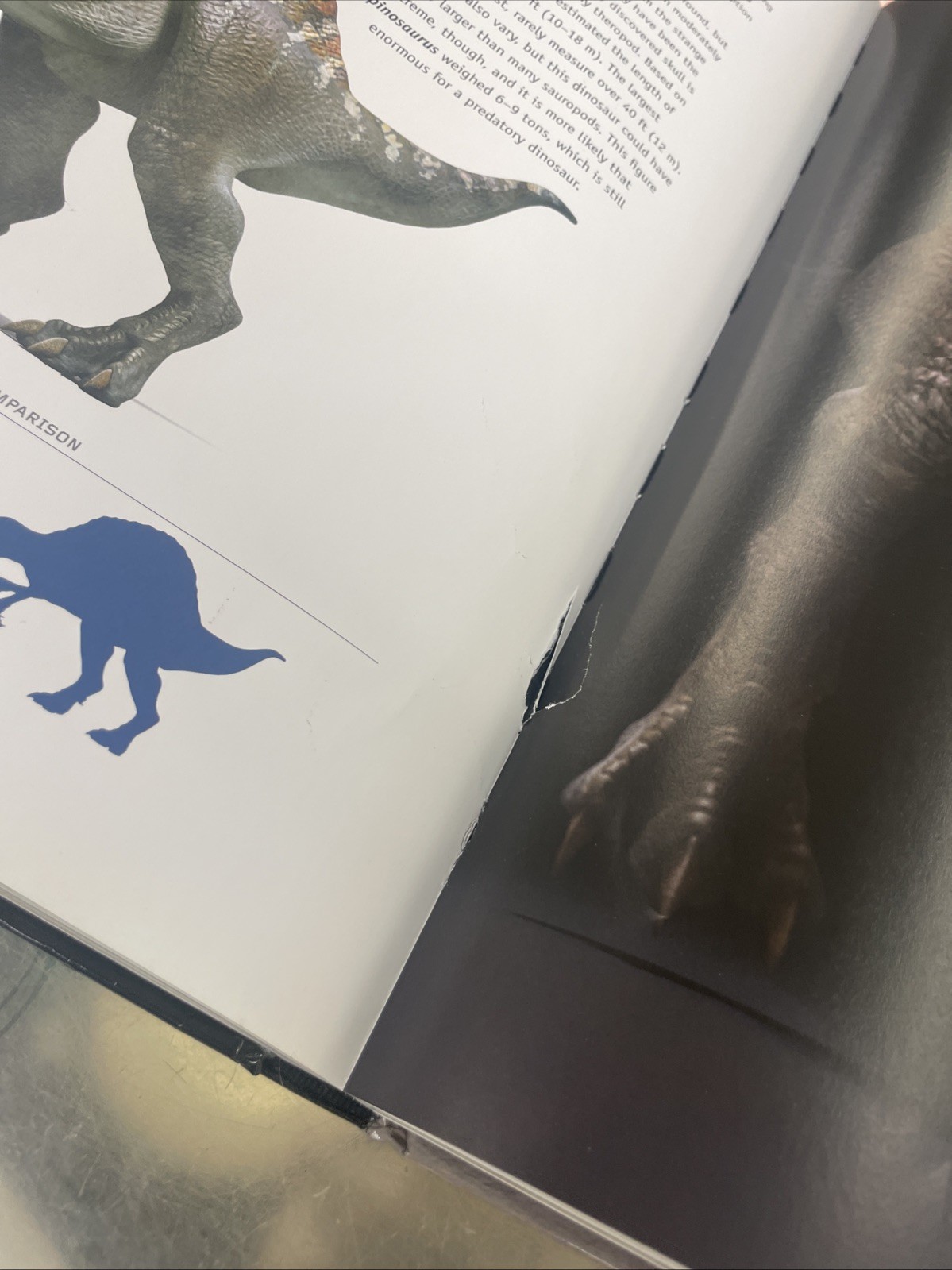 Dinosaurs by Benton, Dr Michael Hardback Book The Fast Free Shipping