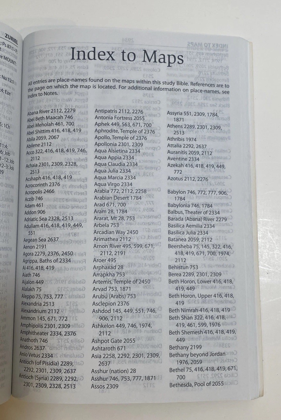 NIV Study Bible 2008 Zondervan Paperback New Testament Red Letter