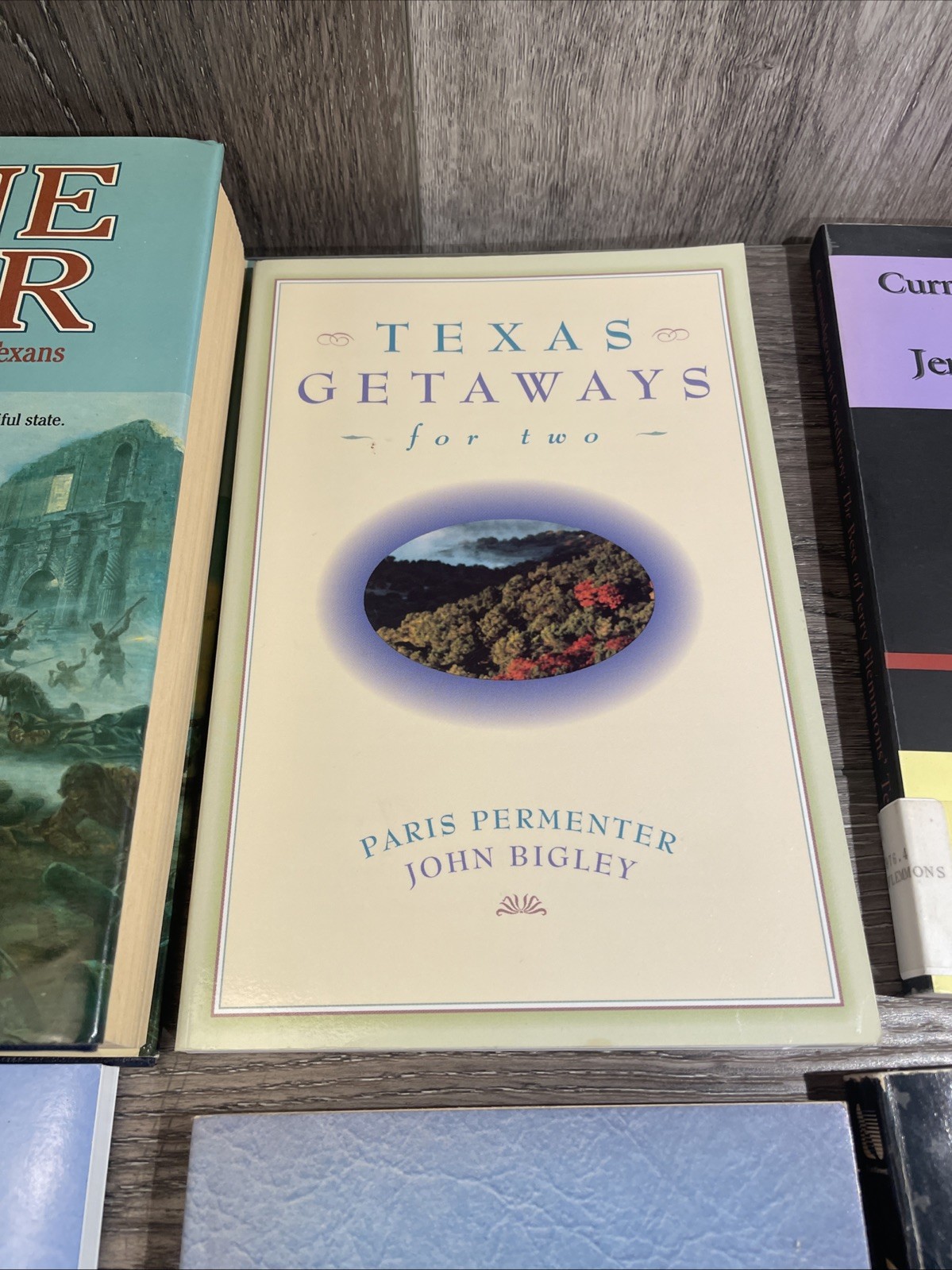 Texas Book Lot 10 Books History Fiction Travel Humour University Press