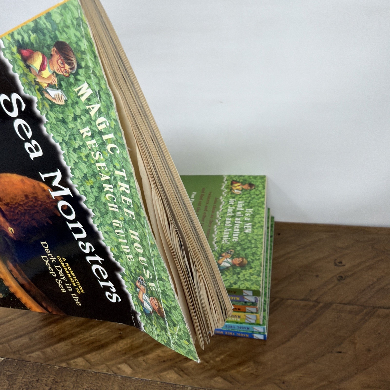 Magic Tree House Fact Tracker Research Guide Lot of 10 Paperback Childrens